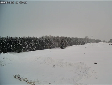 Ёлки город в лесу (Корпус 6)