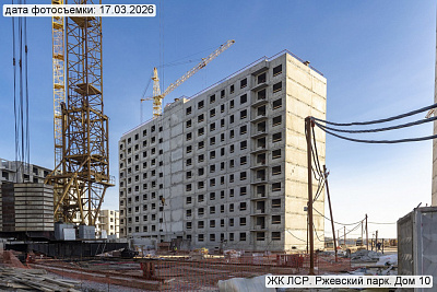 ЛСР. Ржевский парк