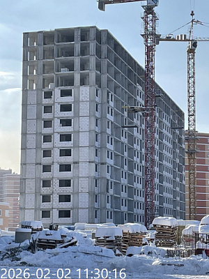 г. Тула