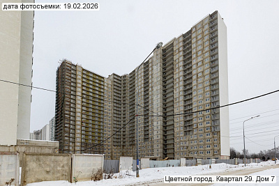 Цветной город