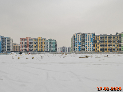 Янинский лес