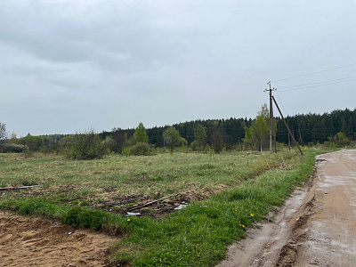 Звездная роща
