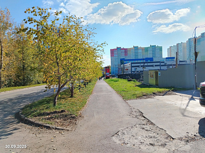 Начало. Дом на Гайве.