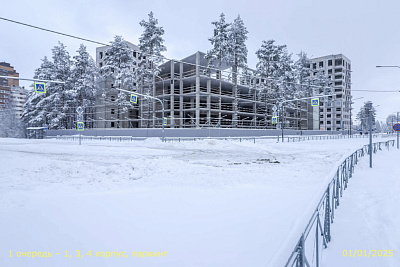 ВЕРЕН НОРТ СЕРТОЛОВО 