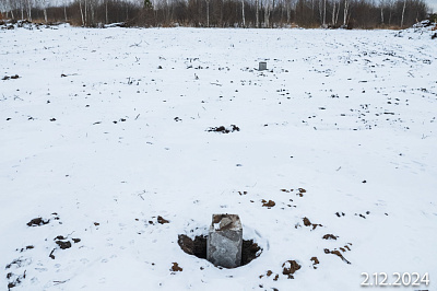 АЙРИС
