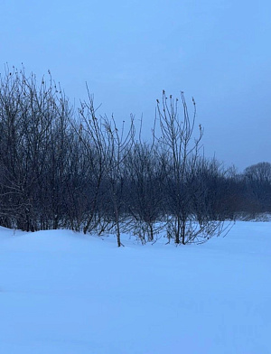 село С Новолуговое