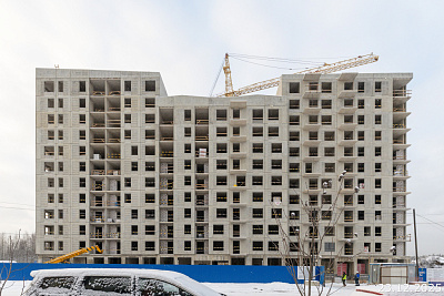 Янила Форест