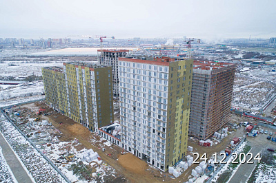 Невская Долина корпус 1.1