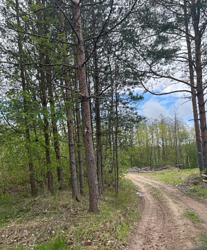 Е.квартал 