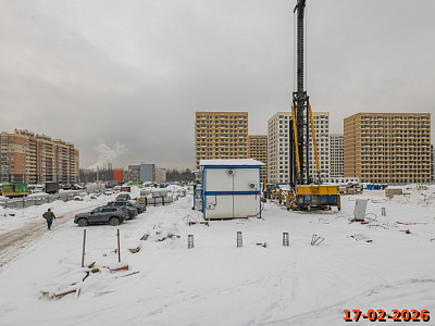 Янинский лес