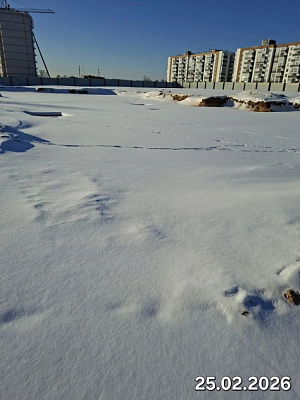 Деревня Борисовичи