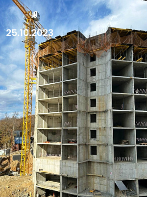 г. Владивосток, Улица Лесная