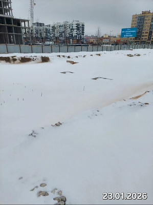 Деревня Борисовичи
