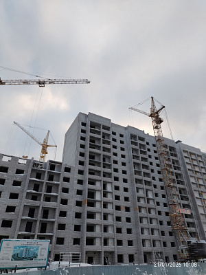 г. Череповец