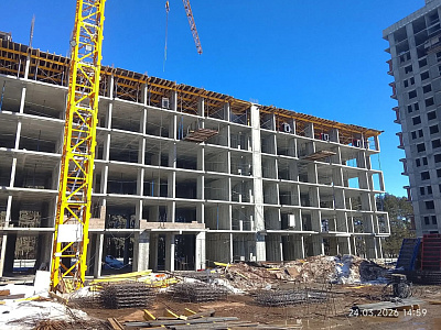 Норвежский лес