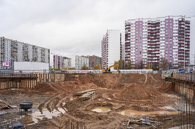 РОДИНА ПЕРЕДЕЛКИНО