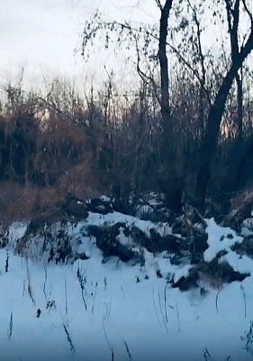село С Новолуговое