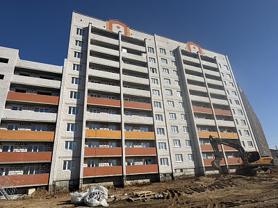 Деревня Новосельцы