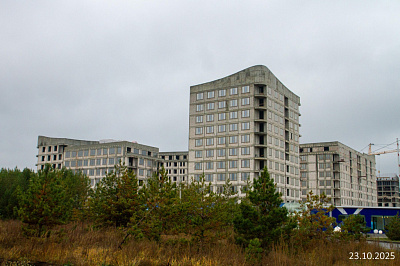 Экосити
