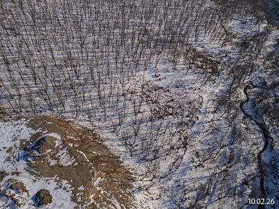 Квартал Нейбута