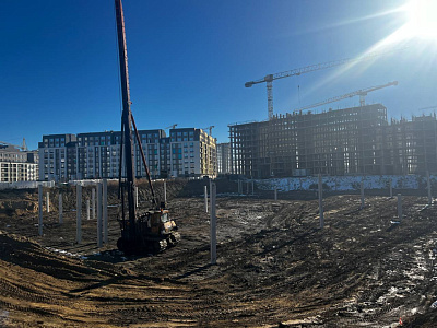 Брусника в Академическом