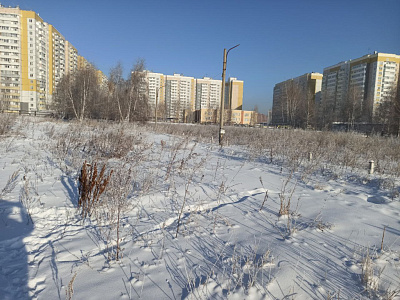 Расцветай в Солнечном