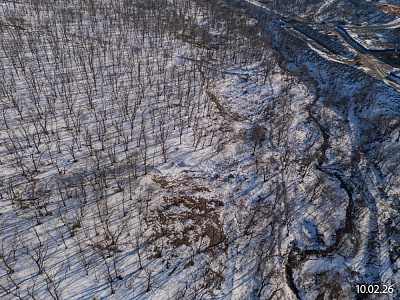 Квартал Нейбута