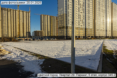Цветной город