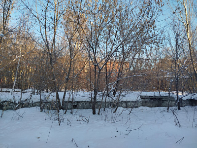г. Новосибирск