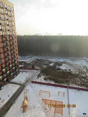 Скандинавия 8
