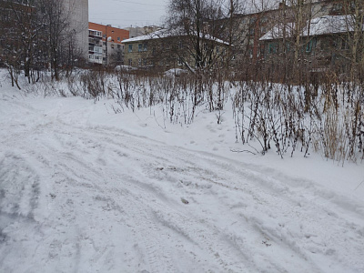 Современник