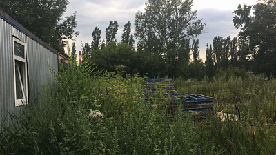 ЖК Новиков