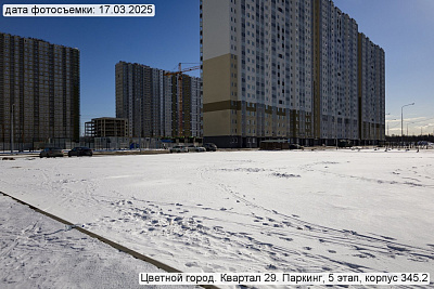 Цветной город