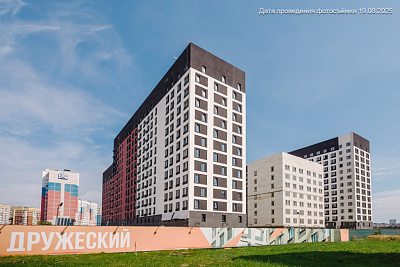 Дружеский