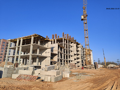 деревня Родина