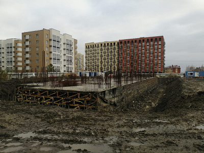 Новая Заря