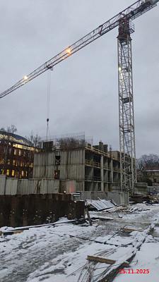 ID Petrogradskaya