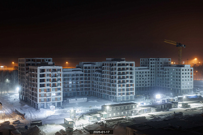 Пшеница