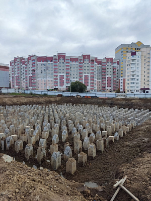г. Брянск, Улица Улица Романа Брянского