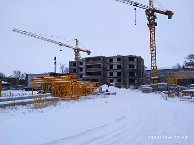 Дальневосточный Талисман