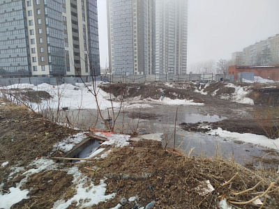 Расцветай на Зорге