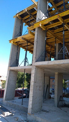 г. Воронеж, Улица Димитрова
