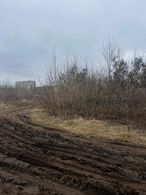 г. Тамбов, улица Заводская