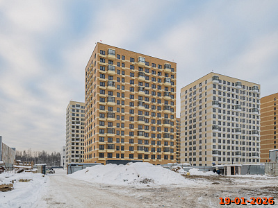 Янинский лес