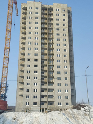 г. Калуга, Д.Чижовка