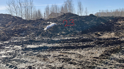 г. Бердск