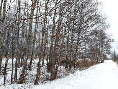 Комплекс апартаментов OTRADA resort
