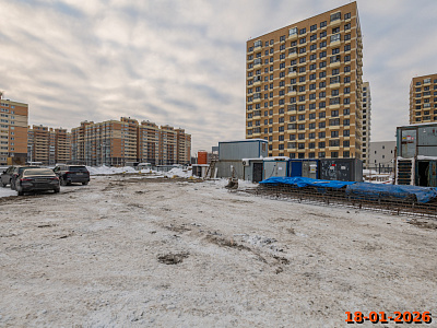 Янинский лес