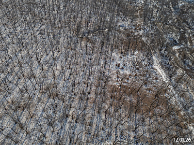 Квартал Нейбута