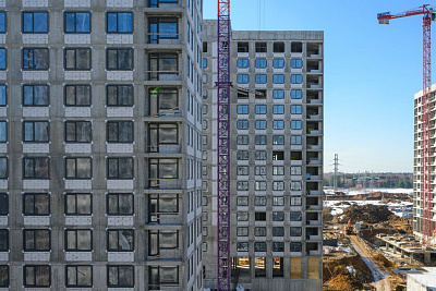 Левел Лесной